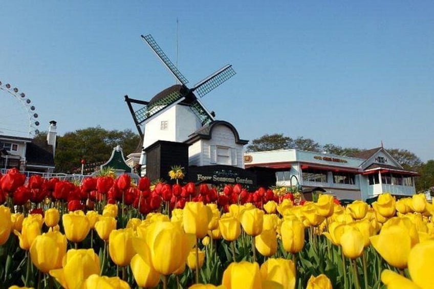 Everland flower garden 5