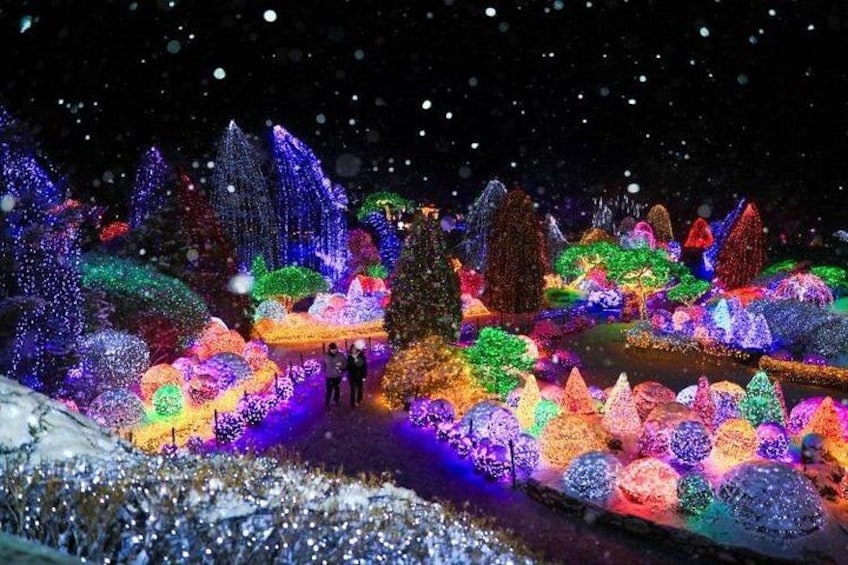 A nighttime garden with illuminated trees and pathways. 3
