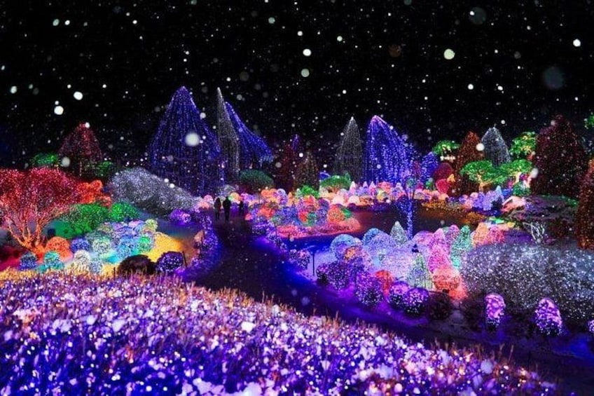 A nighttime landscape with illuminated trees and structures, creating a vibrant and colorful scene. 2