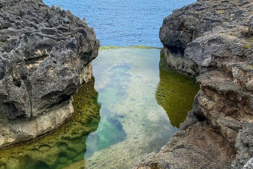 One Day Nusa Penida Island West & East 5