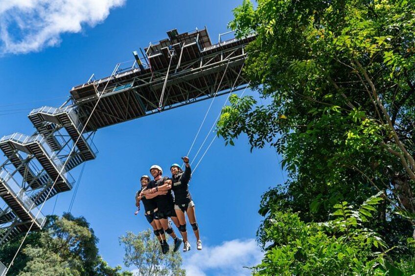A zipline with a wooden platform and metal railings, surrounded by trees and a clear blue sky. 1
