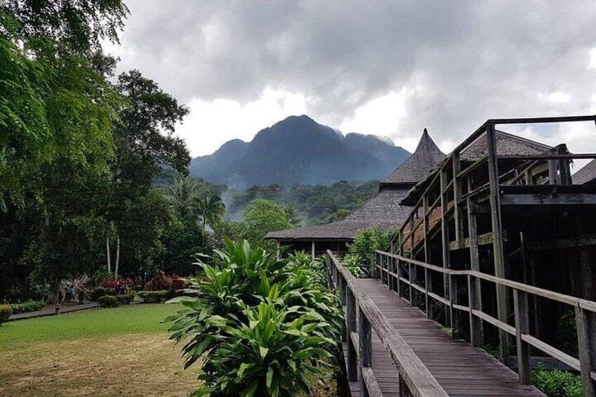 A wooden bridge, lush greenery, and a mountain in the background. 3