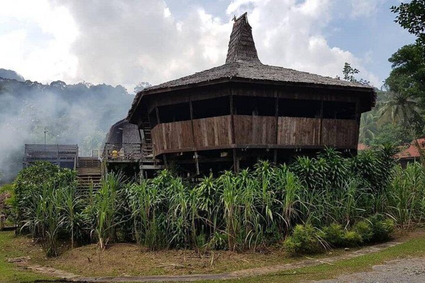 A traditional wooden structure with a conical roof surrounded by tall grasses and a truck in the background. 4