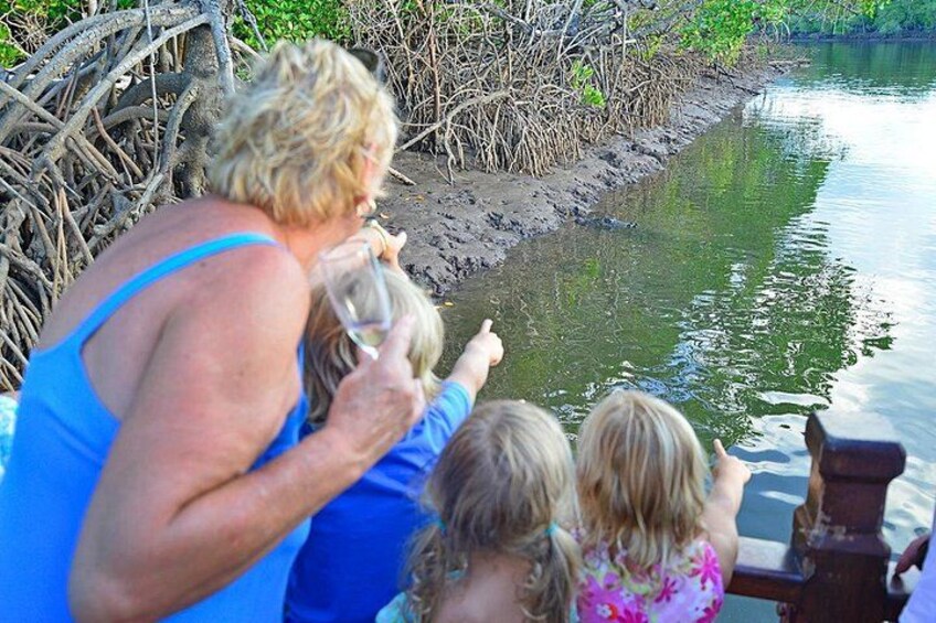 Spot crocodiles in the wild, close up 4