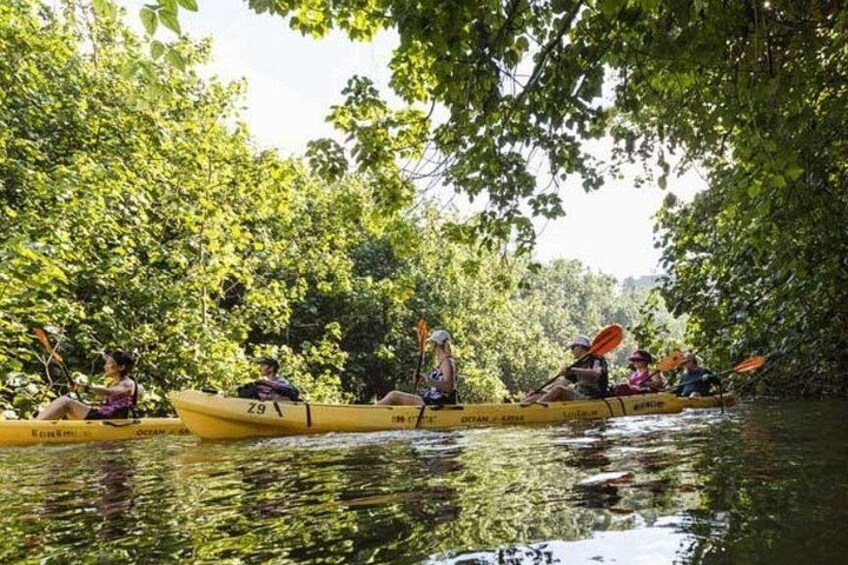 Wailua River Kayak and Sacred Falls Guided Hike with Lunch 5