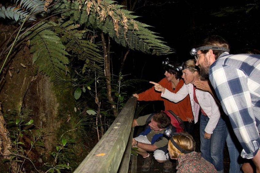 A group of people observing a tree in a forested area. 1