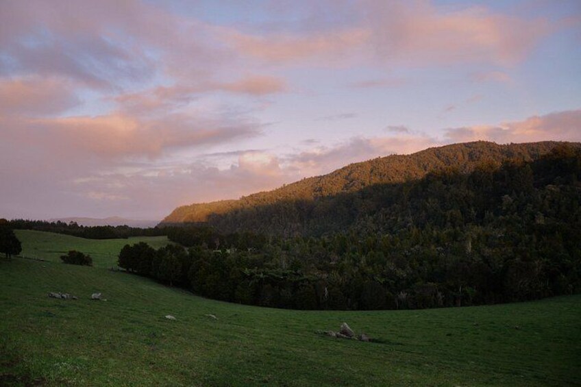 A grassy field with a hill in the background. 5