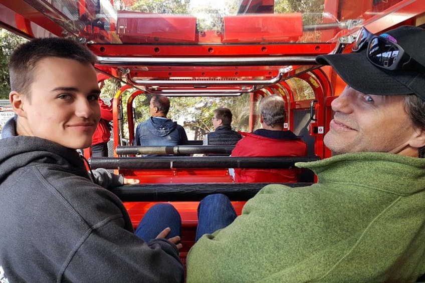 Ride the World's Steepest Railway on the Original Ultimate Blue Mountains Private Tour! 3