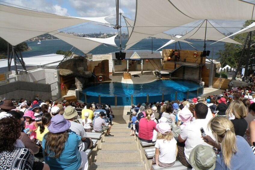 Seals for the Wild - Taronga Zoo Sydney 2
