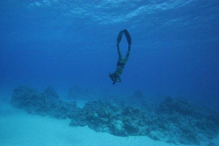 Un buceador descendiendo bajo el agua, rodeado de formaciones coralinas. 4