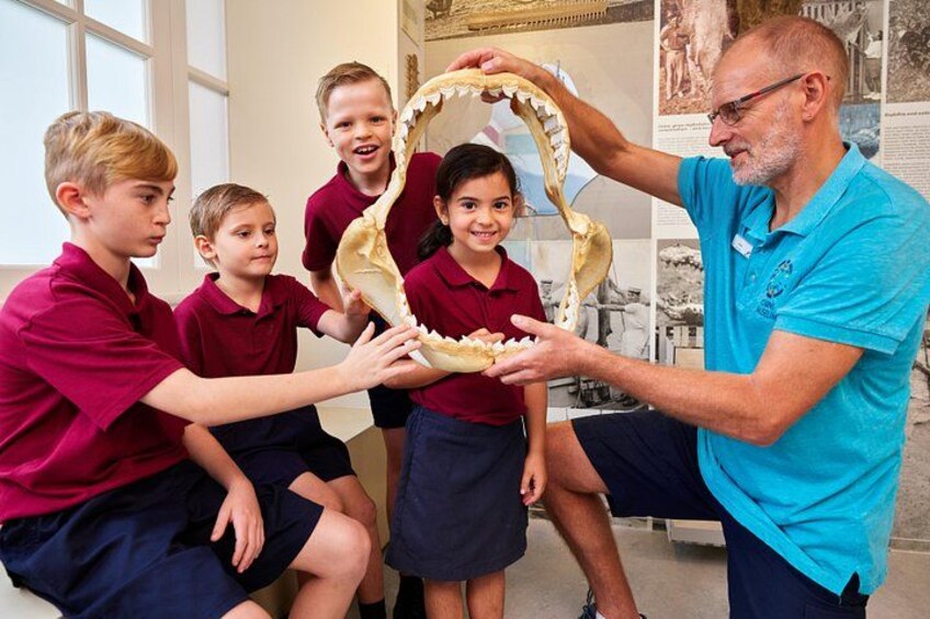 Skip the Line: Cairns Museum Single Admission Ticket 2