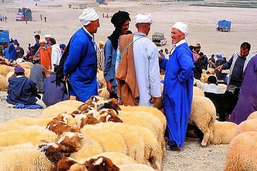 A group of people with sheep in a dry, open area. 1