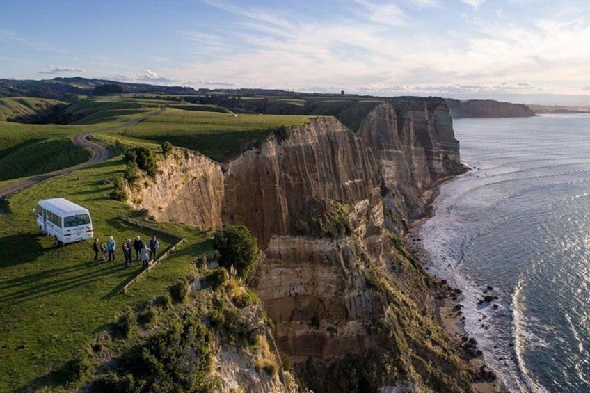A coastal landscape with cliffs, a beach, and a group of people standing on a grassy area. 2