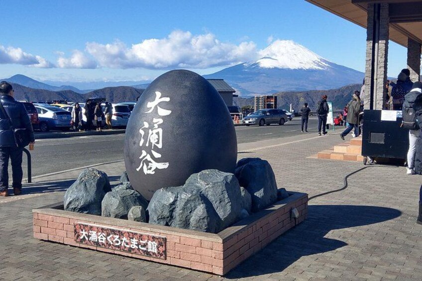 NEW Tokyo: Mt. Fuji & Hakone 6-Spot Tour (Bullet Train Return) 2