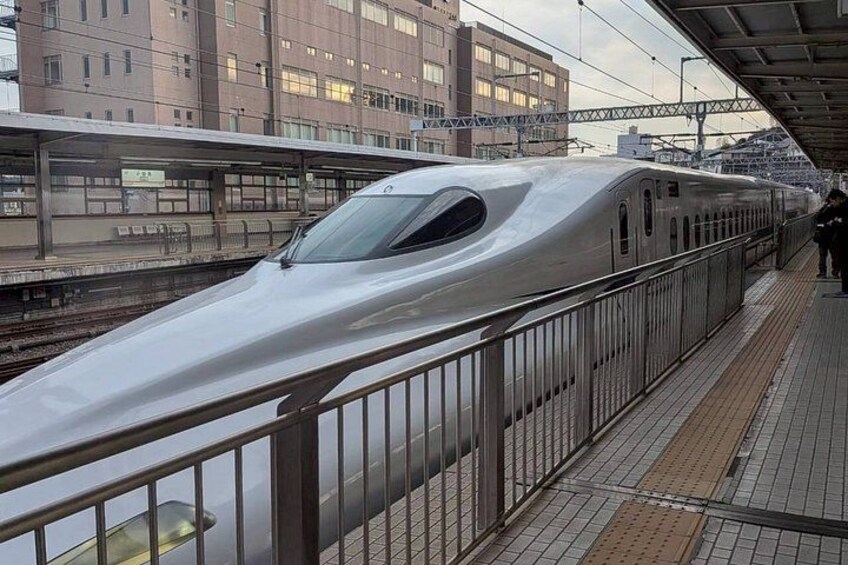 NEW Tokyo: Mt. Fuji & Hakone 6-Spot Tour (Bullet Train Return) 2