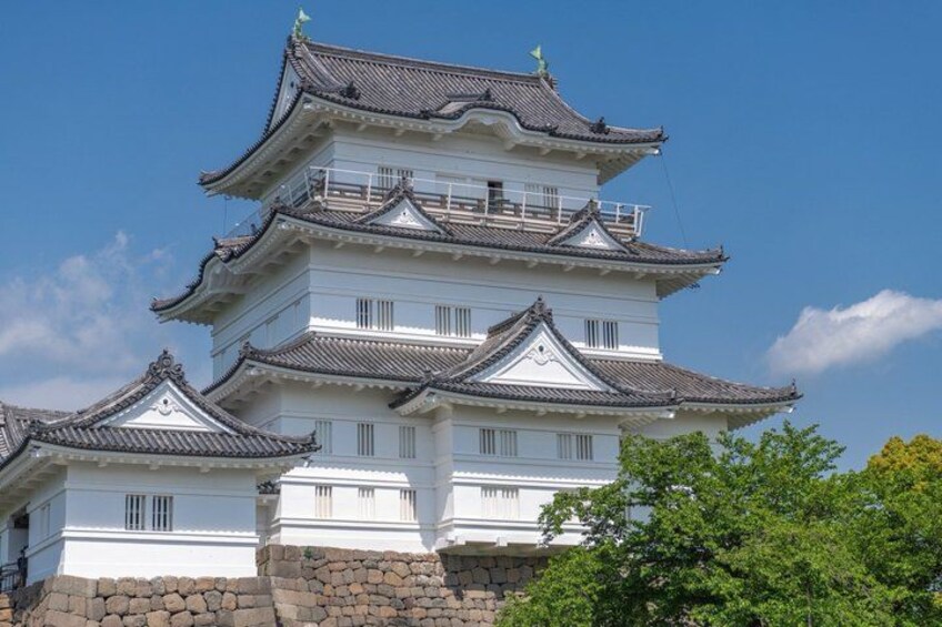 NEW Tokyo: Mt. Fuji & Hakone 6-Spot Tour (Bullet Train Return) 3