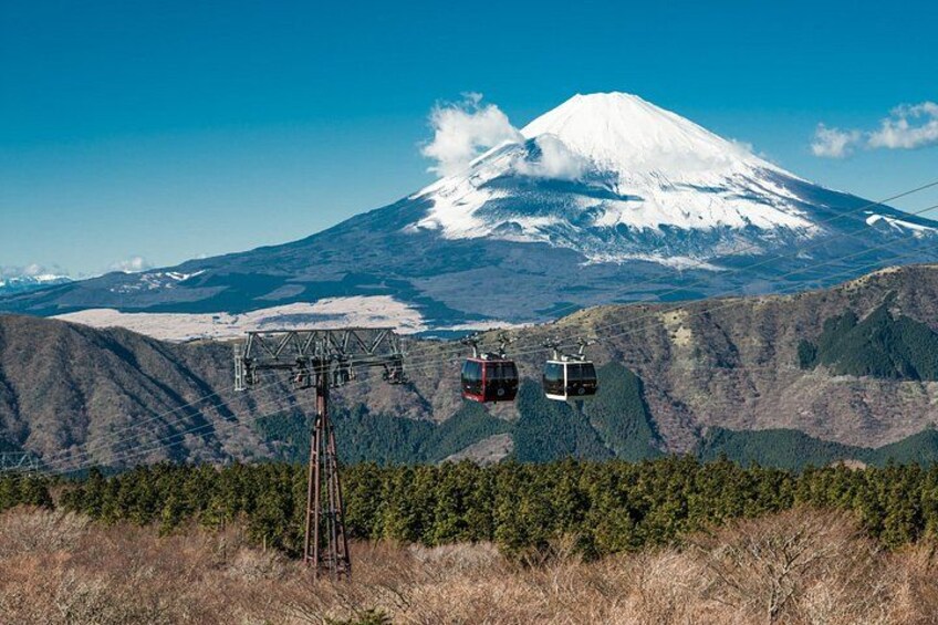 NEW Tokyo: Mt. Fuji & Hakone 6-Spot Tour (Bullet Train Return) 3