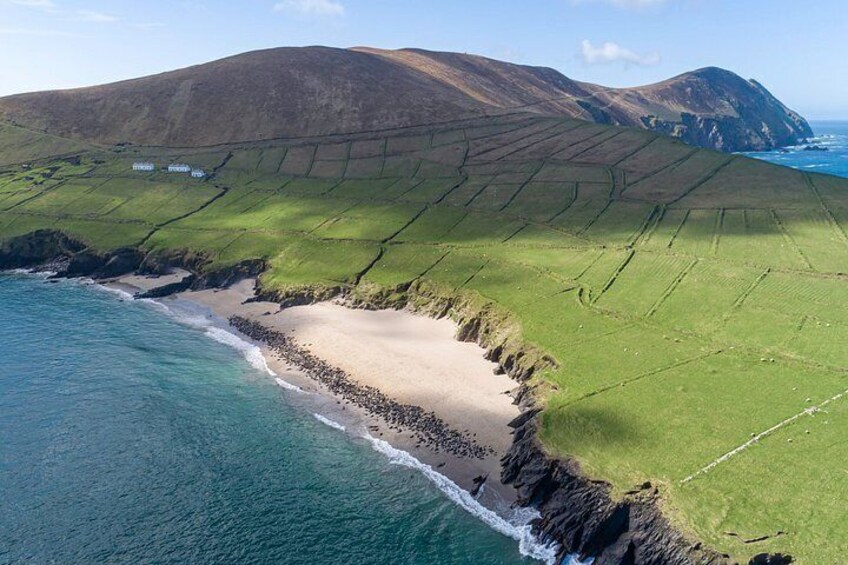 The Great Blasket Island Experience - Premium Tour 2