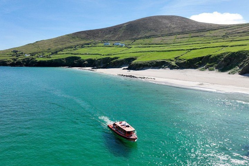 The Great Blasket Island Experience - Premium Tour 1