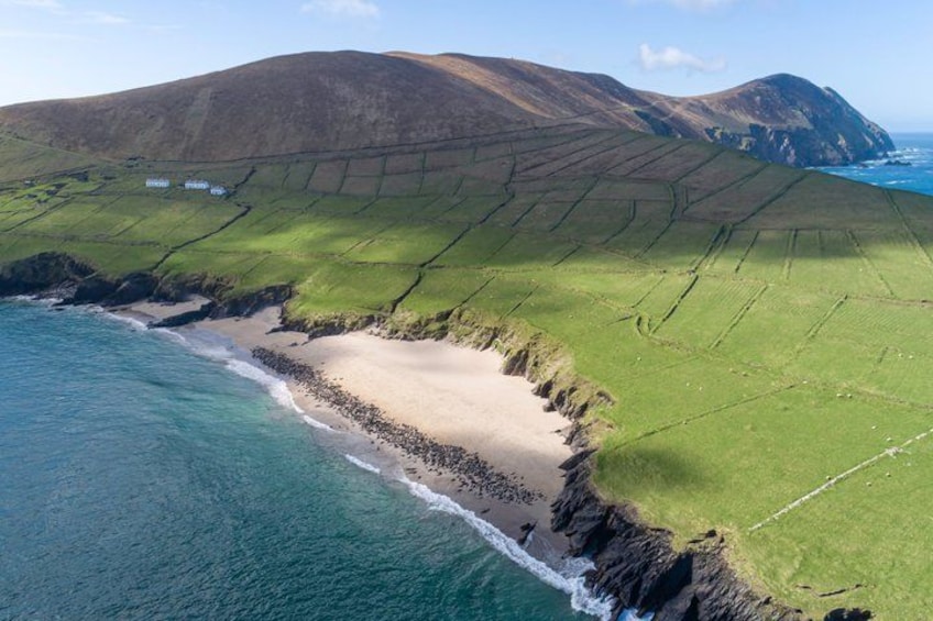 The Great Blasket Island Experience - Premium Tour 4