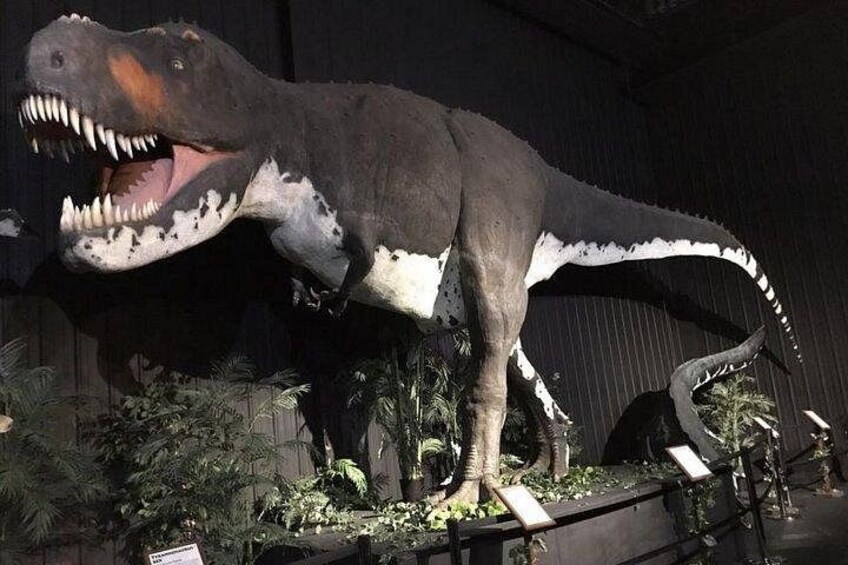 Branson Dinosaur Museum Admission Ticket 3