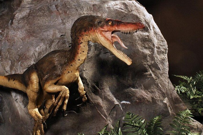 Modeled from the bones of dinosaurs 4