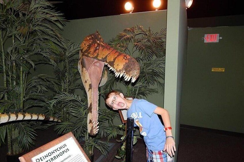 Branson Dinosaur Museum Admission Ticket 2