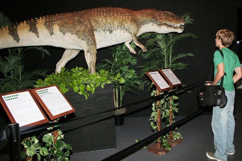 Branson Dinosaur Museum Admission Ticket 1