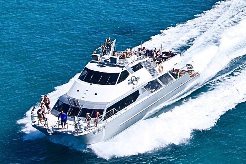Ocean Freedom: Great Barrier Reef Stylish Snorkel, Dive Reef Tour 1