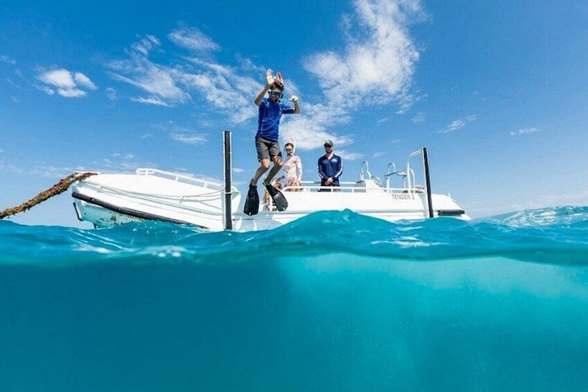 Ocean Freedom: Great Barrier Reef Stylish Snorkel, Dive Reef Tour 3