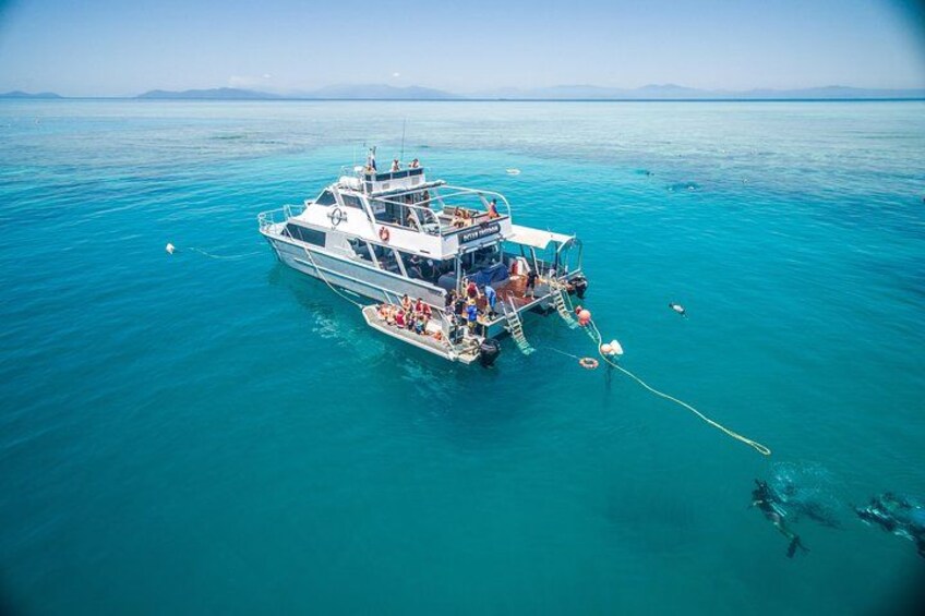 Introductory and Certified Diving on Ocean Freedom 5