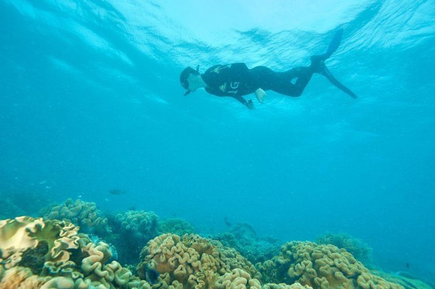 Snorkelling "WonderWall" - Upolu Reef 2