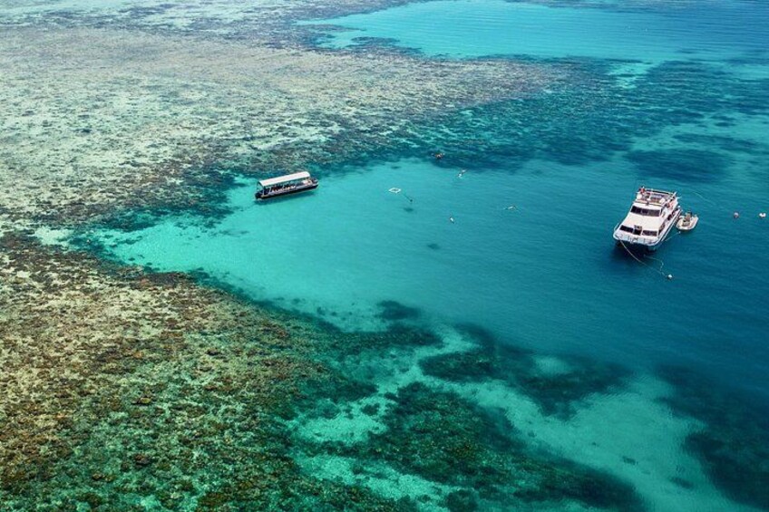 Great Barrier Reef Cruise by Luxury Catamaran 3