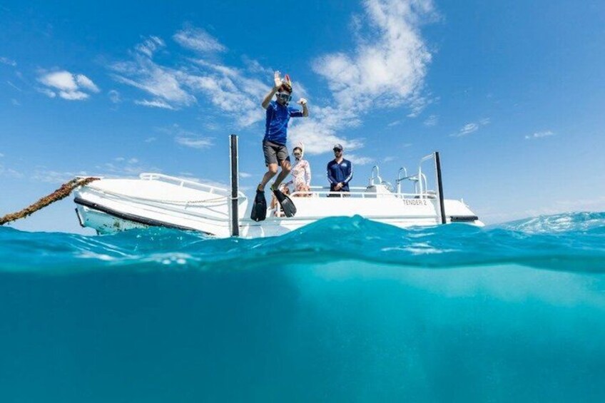 Ocean Freedom: Great Barrier Reef Stylish Snorkel, Dive Reef Tour 2