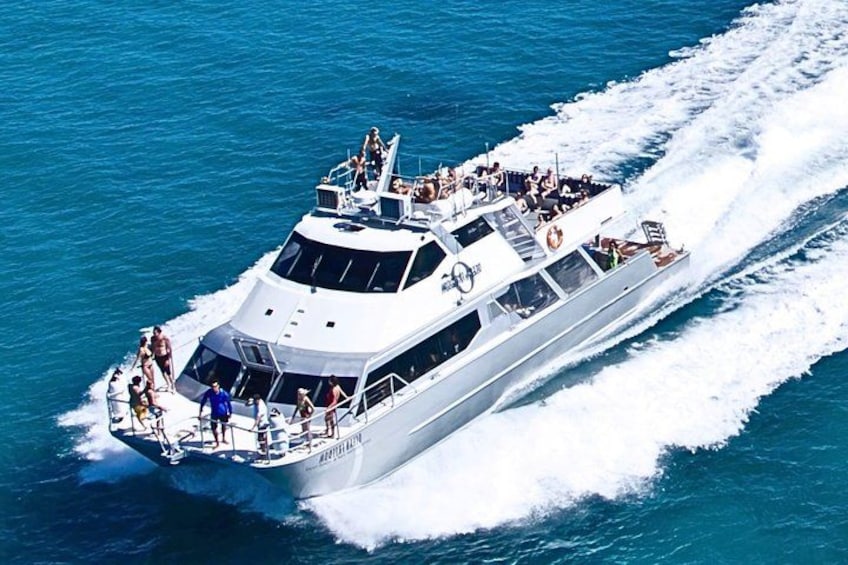 Ocean Freedom: Great Barrier Reef Stylish Snorkel, Dive Reef Tour 1
