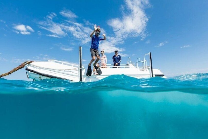 Ocean Freedom: Great Barrier Reef Stylish Snorkel, Dive Reef Tour 4