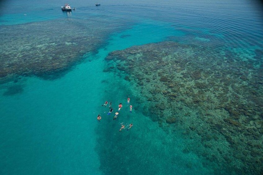 Snorkel on "Wonder Wall" 4