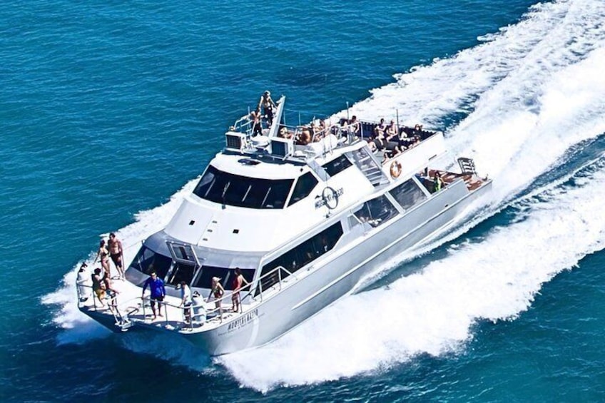 Ocean Freedom: Great Barrier Reef Stylish Snorkel, Dive Reef Tour 1