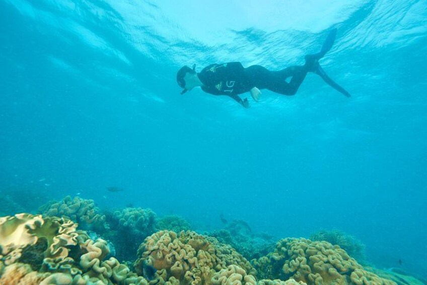 A diver underwater with coral formations in the foreground. 2