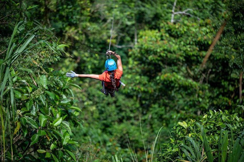 En person som åker på en zipline genom en tät skog. 4