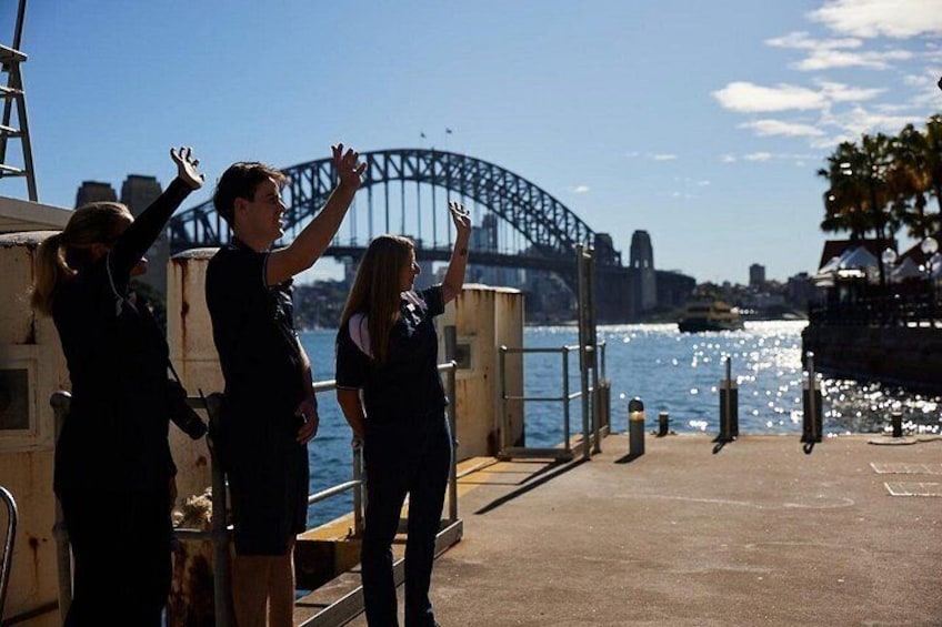 Sydney Whale-Watching Cruise Including Lunch or Breakfast 3