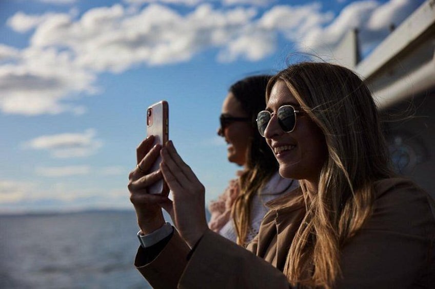 Sydney Whale-Watching Cruise Including Lunch or Breakfast 3