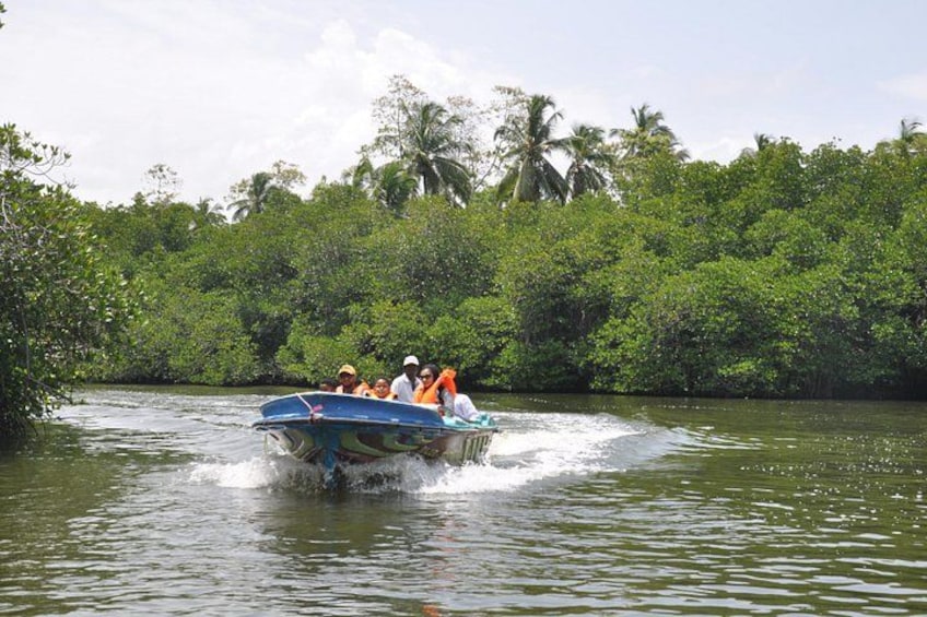 Madu River Boat Safahttps://media-cdn.tripadvisor.com/media/attractions-splice-spp-720x480/07/bd/b2/d8.jpgri 5