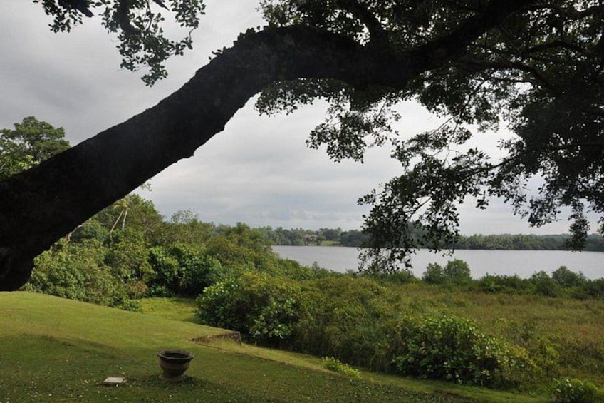 Lunuganga Estate 2