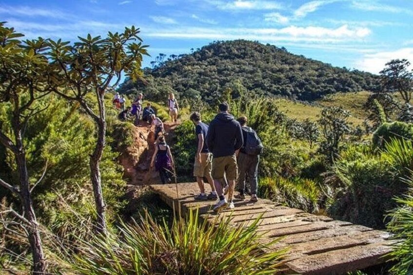 Horton Plains National Park : Private Guided Trekking Tour 5