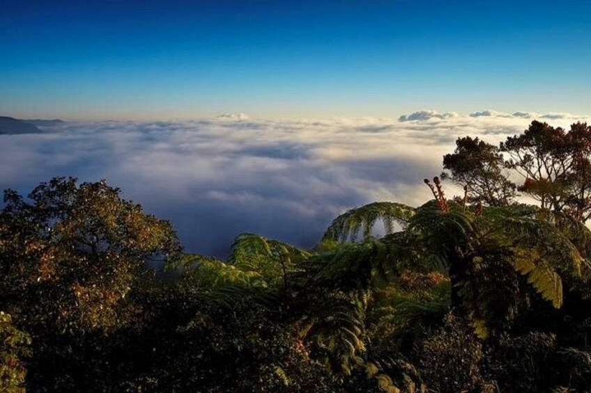Horton Plains National Park : Private Guided Trekking Tour 2