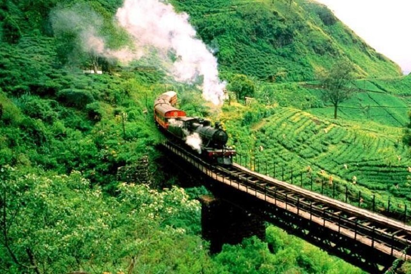 Eine Dampflokomotive fährt über eine Brücke durch eine üppige, grüne Landschaft. 5