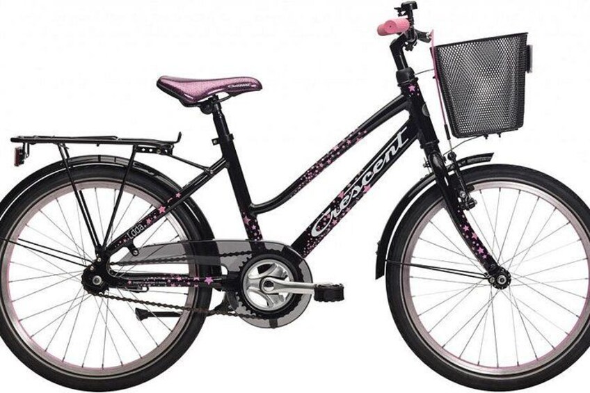 Malmo Bike Rental 5