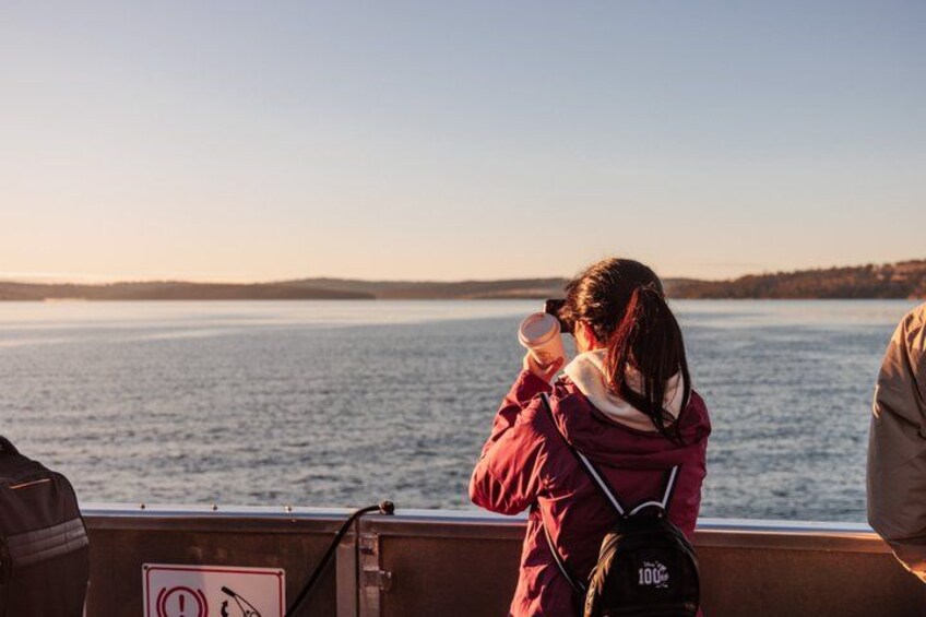 Full-Day Guided Bruny Island Tour from Hobart 4