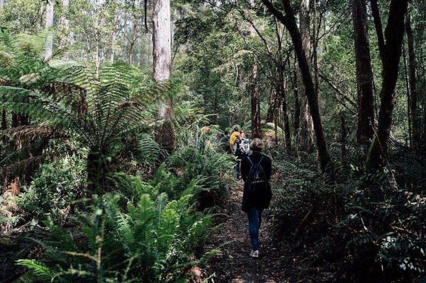 Full-Day Guided Bruny Island Tour from Hobart 2